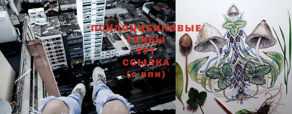 мескалин Абаза