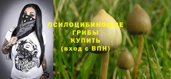 шишки Алзамай