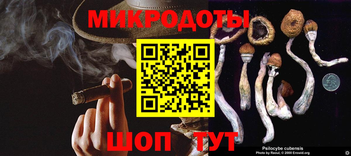 Псилоцибиновые грибы Psilocybine cubensis Благовещенск