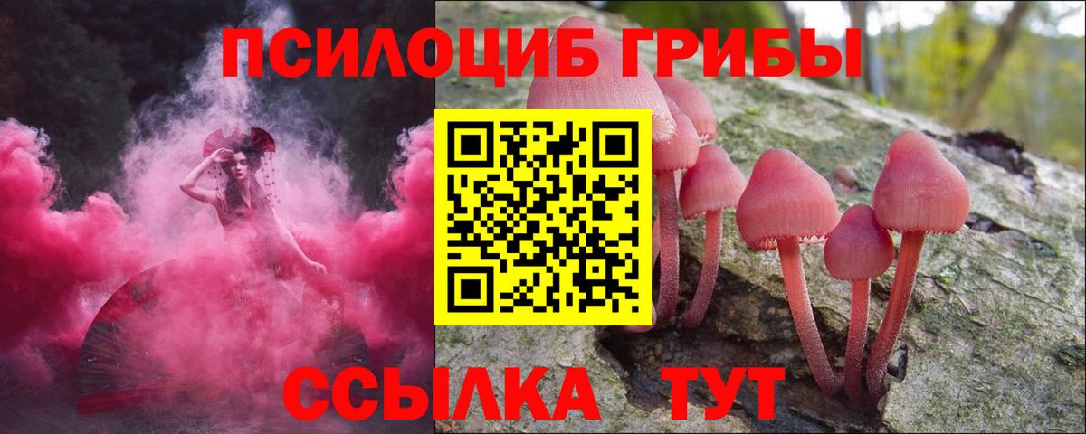 купить   Псилоцибиновые грибы мухоморы  Псилоцибиновые грибы Magic Shrooms  Вход с VPN  Благовещенск 